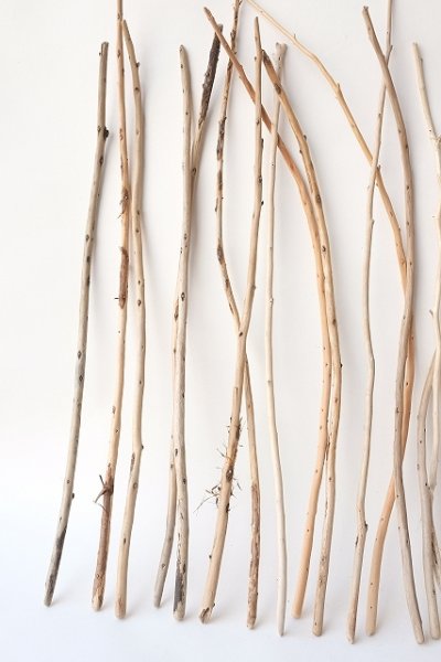 画像2: 棒流木・極細セット (2)