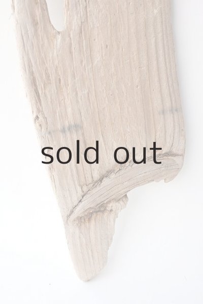 画像2: 板流木 (2)