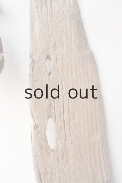 画像3: 板流木 (3)