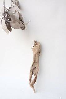 変形・その他流木 - 流木素材市場 阿波遊木