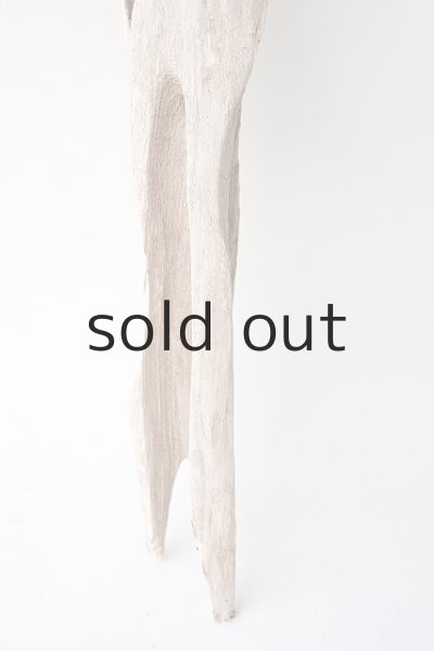 画像2: 変形流木 (2)