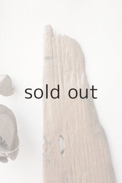 画像4: 板流木 (4)