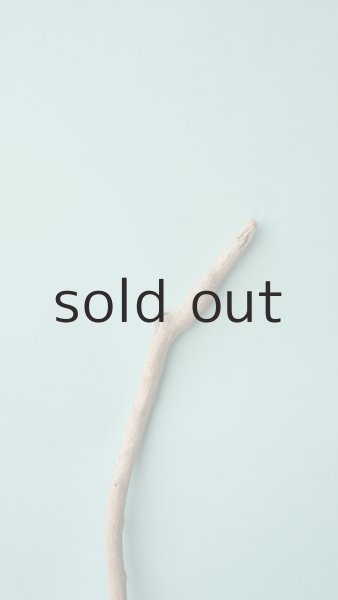 画像4: 枝流木 (4)