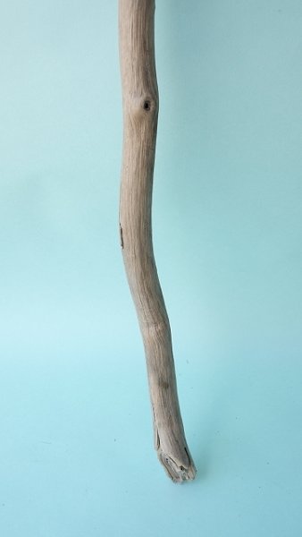 画像2: 枝流木 (2)