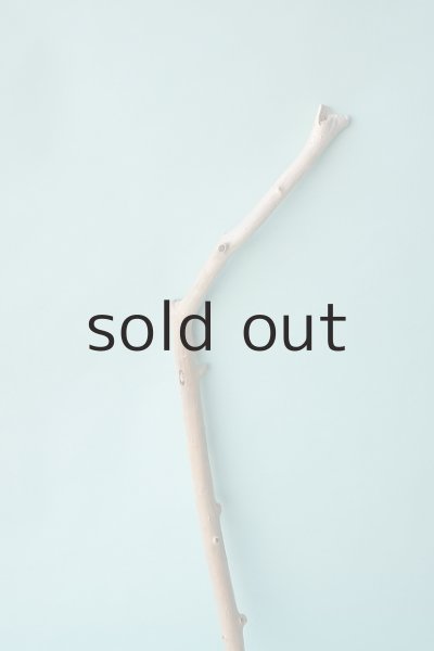 画像3: 枝流木 (3)