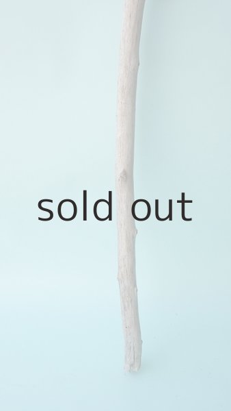 画像2: 枝流木 (2)