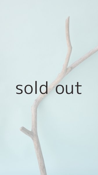 画像3: 枝流木 (3)