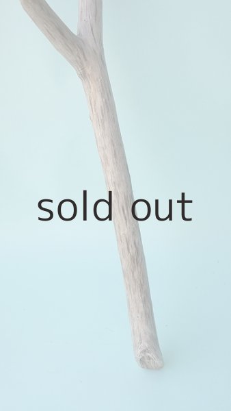 画像2: 枝流木 (2)