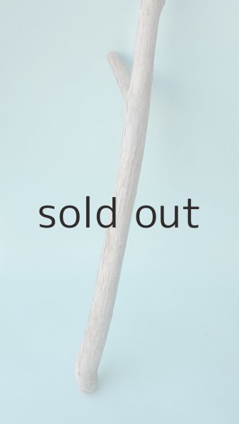 画像5: 枝流木 (5)