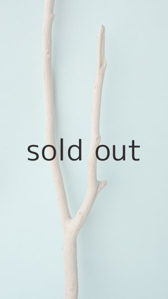 画像3: 枝流木 (3)