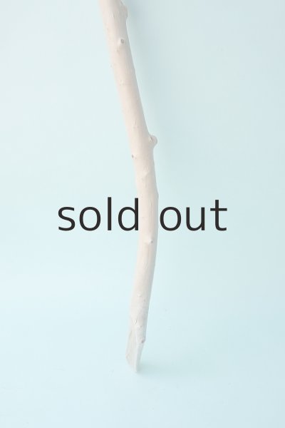 画像2: 枝流木 (2)