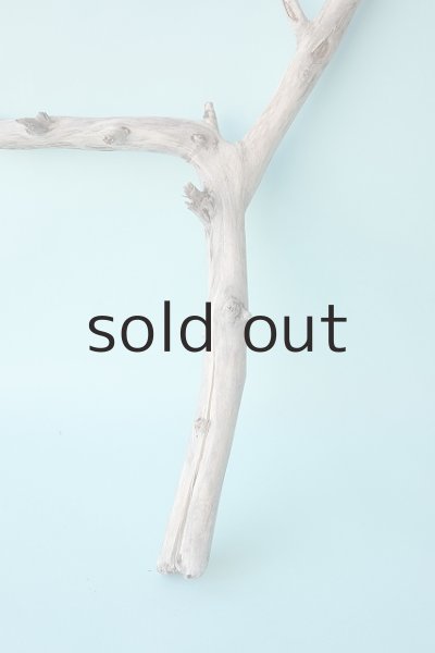 画像2: 枝流木 (2)