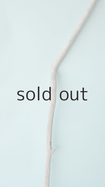 画像3: 枝流木 (3)