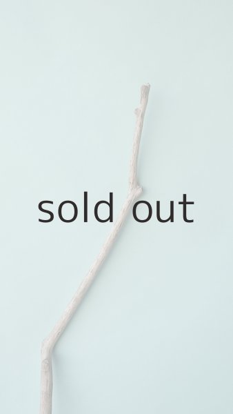 画像4: 枝流木 (4)