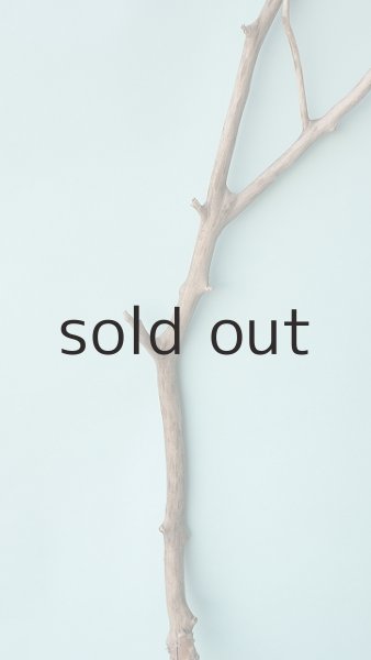 画像3: 枝流木 (3)