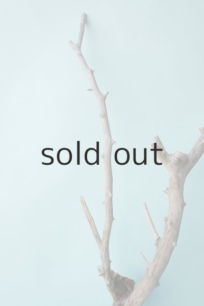 画像4: 枝流木 (4)