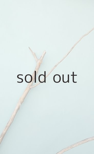 画像6: 枝流木 (6)