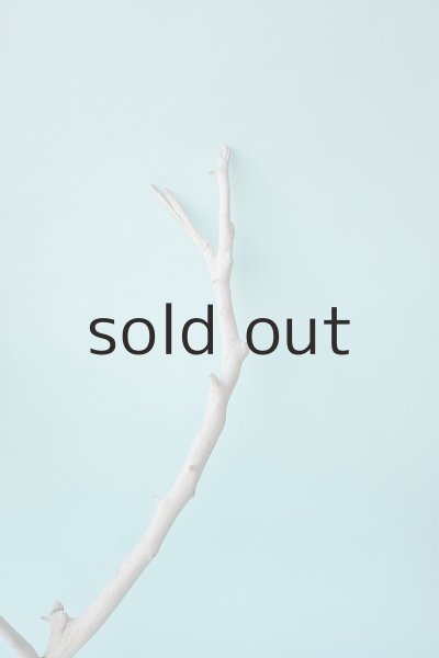 画像5: 枝流木 (5)