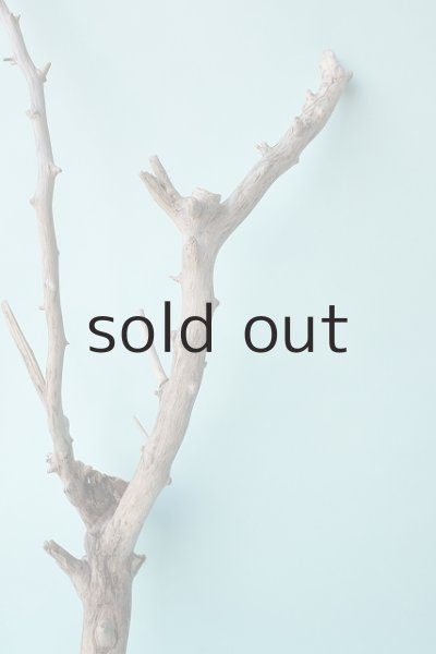 画像3: 枝流木 (3)