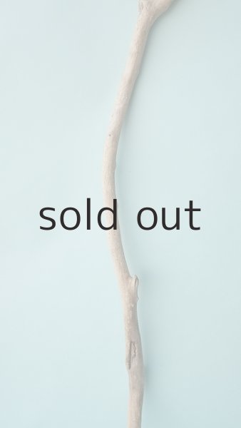 画像3: 枝流木 (3)