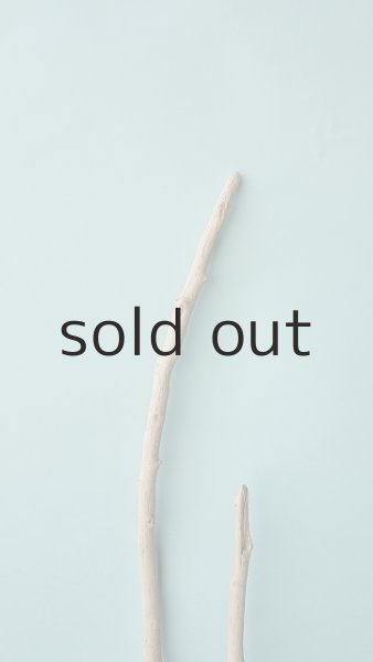 画像4: 枝流木 (4)