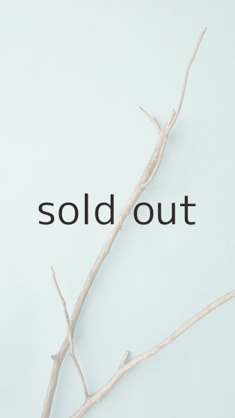 画像5: 枝流木 (5)