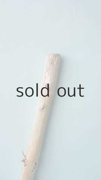 画像4: 枝流木 (4)