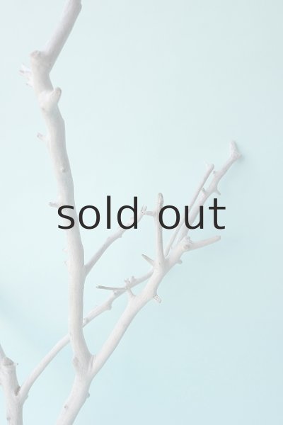 画像3: 枝流木 (3)