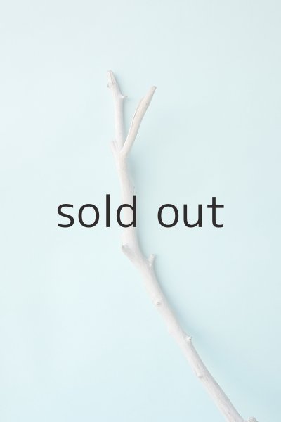 画像4: 枝流木 (4)