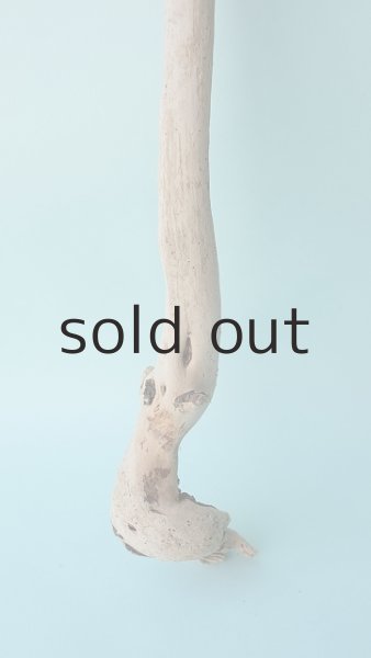 画像2: 枝流木 (2)