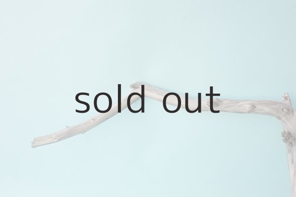 画像3: 枝流木 (3)