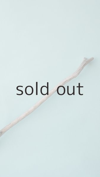 画像4: 枝流木 (4)