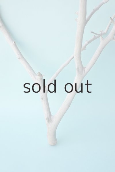 画像2: 枝流木 (2)