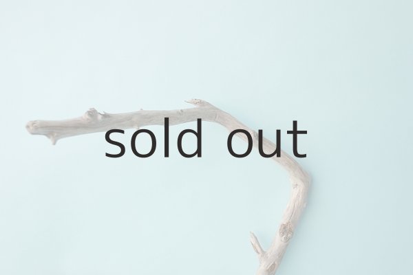 画像4: 枝流木 (4)