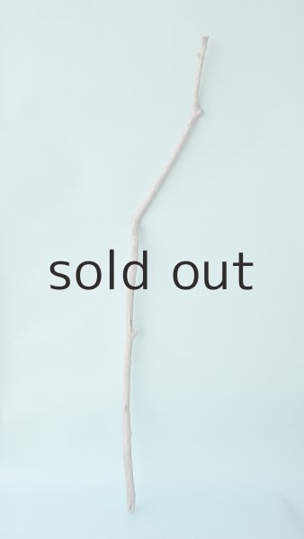 画像1: 枝流木 (1)