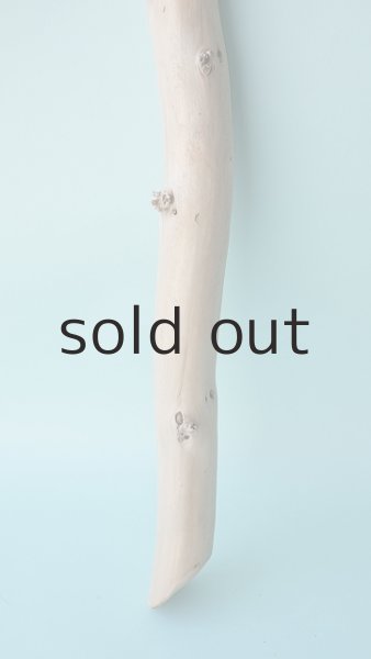 画像2: 枝流木 (2)