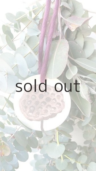 画像3: Dry plants for decor ユーカリ2種シンプルスワッグ (3)