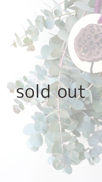 画像3: Dry plants for decor ユーカリ2種シンプルスワッグ (3)