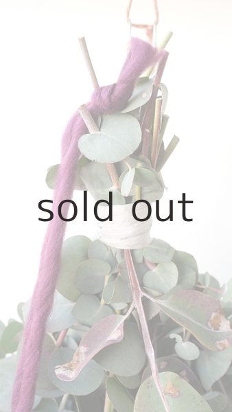 画像2: Dry plants for decor ユーカリ2種シンプルスワッグ (2)