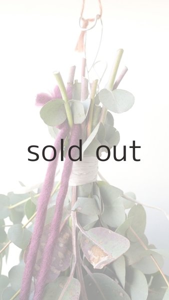 画像2: Dry plants for decor ユーカリ2種シンプルスワッグ (2)