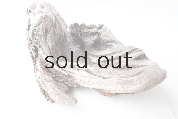 画像7: 変形流木 (7)