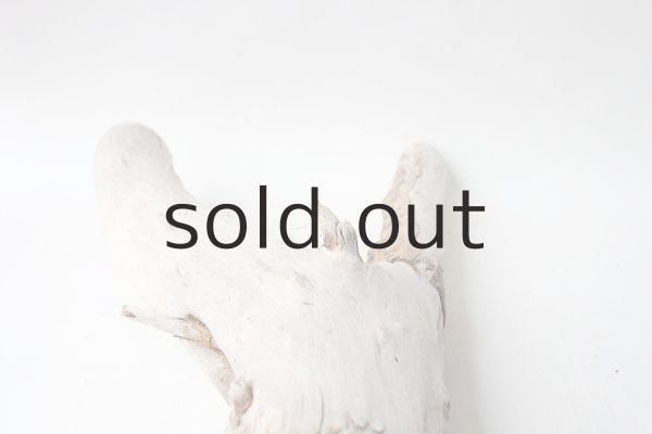 画像8: 変形流木 (8)