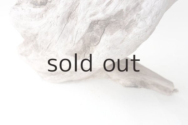 画像2: 変形流木 (2)