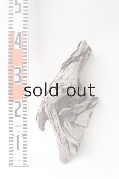 画像5: 変形流木 (5)