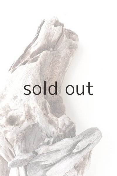 画像3: 変形流木 (3)