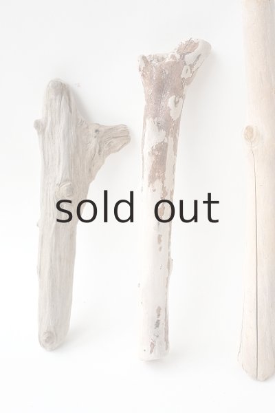 画像2: 小枝流木セット (2)