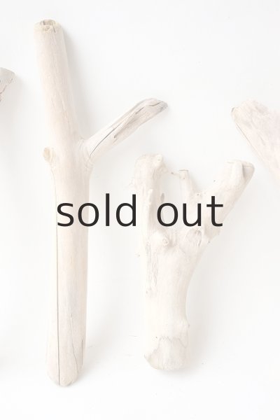 画像3: 小枝流木セット (3)