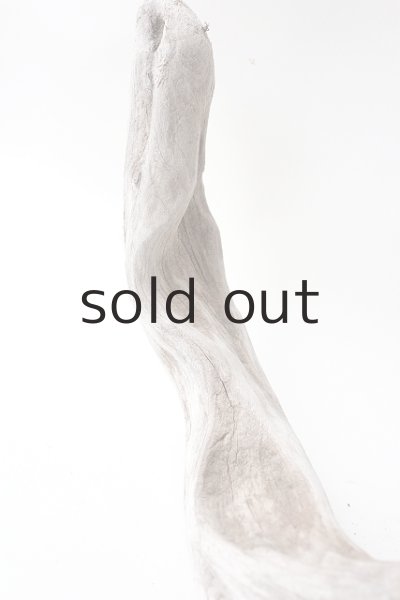 画像7: 変形流木 (7)