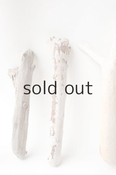 画像6: 小枝流木セット (6)