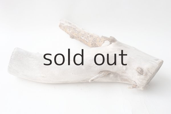 画像7: 変形流木 (7)